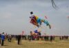 kites fly