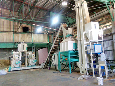 Wood pallet manufacturing plant