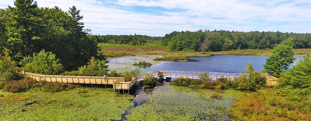 stony-brook