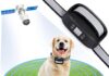 gps dog collar