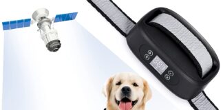 gps dog collar