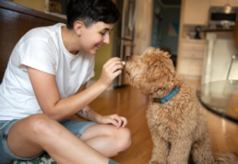 Puppy Training