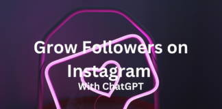 Instagram Followers