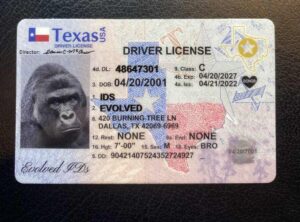 best fake id
