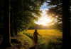 The Long Goodbye: How I Thanked Suboxone for Saving My Life, Then Left It Behind to Live It