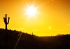 Healing in the Desert Why Arizona's Landscape Is Ideal for Addiction Recovery