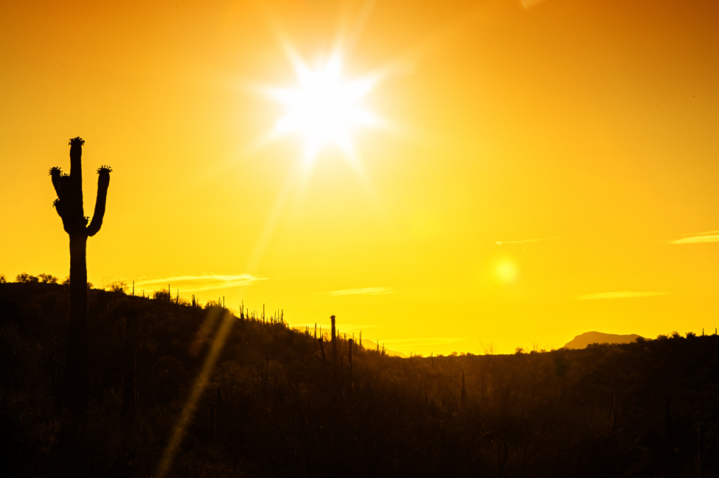 Healing in the Desert Why Arizona's Landscape Is Ideal for Addiction Recovery