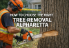 Tree Removal Alpharetta: What You Need to Know Tree removal in Alpharetta, Georgia