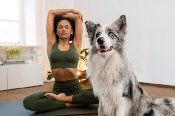 From Start to Finish Exploring a Puppies & Pilates Session From Start to Finish: Exploring a Puppies & Pilates Session