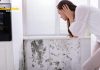 What Should I Do If a Mold Inspection Finds Mold in My LA Home? What Should I Do If a Mold Inspection Finds Mold in My LA Home?