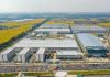 LONGi: Annual solar plant revenue boosted 67,000 EUR per 10 hectares with new high-efficiency solar panel designed for utility segment