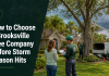 How to Choose a Brooksville Tree Company Before Storm Season Hits How to choose a tree company