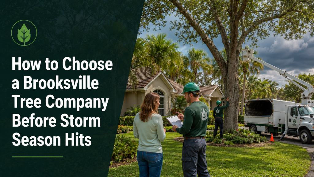 How to choose a tree company