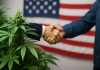Seed Junky Genetics Announces Exclusive Illinois Licensing Agreement with Echelon Grow