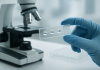 Tethis announces application note of SmartBioSurface® slides for cell suspension workflows on leading spatial biology platform