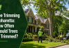 Tree trimming services in Alpharetta