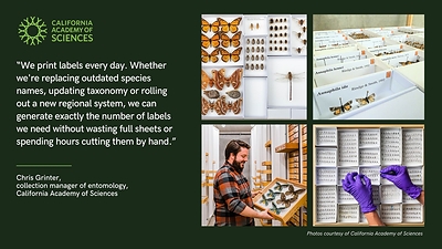 Epson ColorWorks On-Demand Label Printers Bring Organization and Efficiency to California Academy of Sciences' Entomology Collection