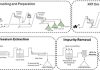 PMET Demonstrates >97% Caesium Extraction from Pollucite Concentrate