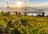 Tamarack Resort Announces 4th of July Reopening of Tamarack Express