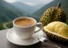 A Cup of Fresh Durian Coffee: The New Shu Road Comes to Life