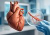 Isomab presents landmark data study supporting safety of angiogenic approaches in coronary artery disease