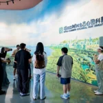 Foreign media learn about China’s mangrove conservation efforts