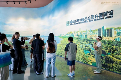 Foreign media learn about China's mangrove conservation efforts