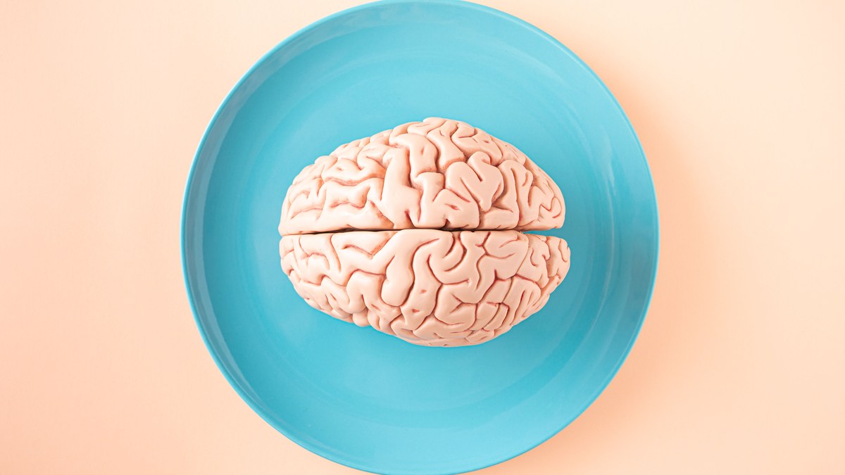 Brain model on a blue plate, illustrating memory consolidation and sleep spindles research by Ward Pettibone
